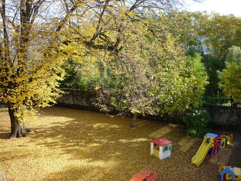 Giardino